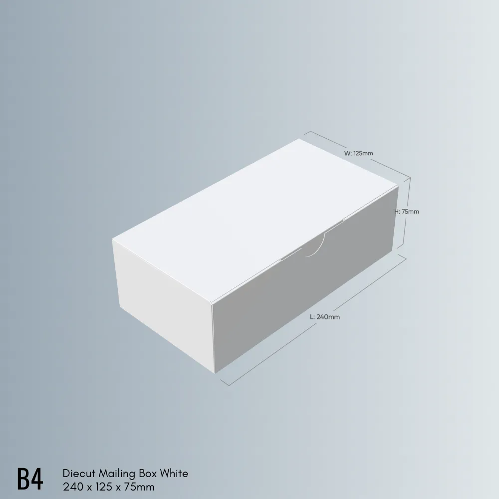 100pcs 240 x 125 x 75mm Diecut White Mailing Box B4